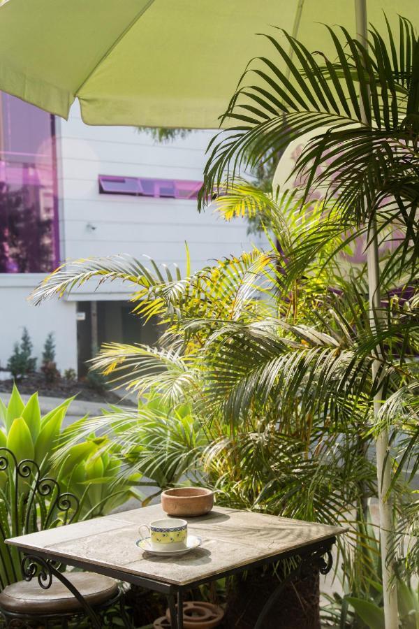 Hostel Spring City Медельин Экстерьер фото